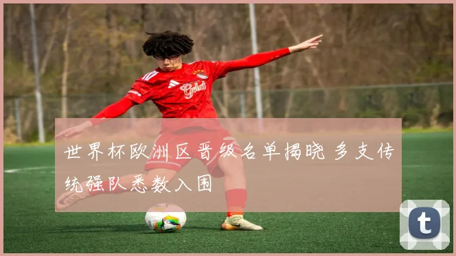 世界杯欧洲区晋级名单揭晓 多支传统强队悉数入围