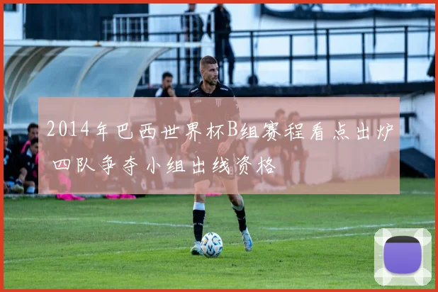 2014年巴西世界杯B组赛程看点出炉 四队争夺小组出线资格