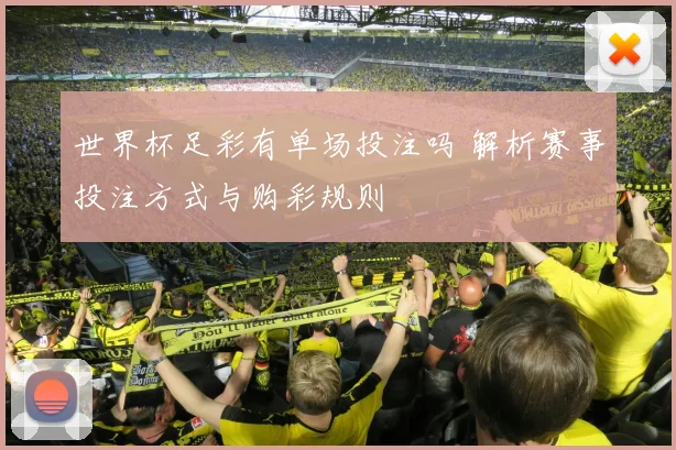 世界杯足彩有单场投注吗 解析赛事投注方式与购彩规则
